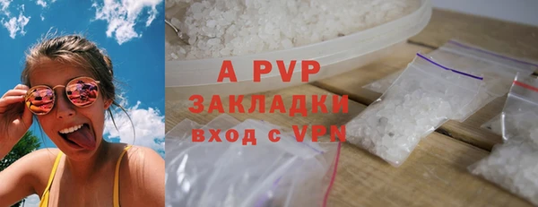a pvp Инта