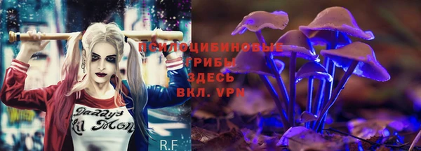 дживик Иннополис